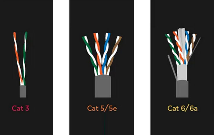 cable cat